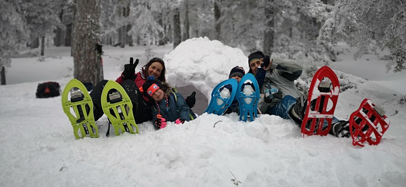 Los mejores trineos para disfrutar de la nieve en familia